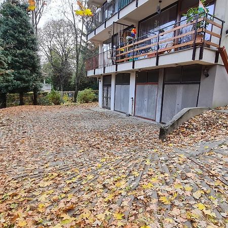 Anna-Lak Apartment Budapest Bagian luar foto